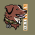 K9 OneTwo